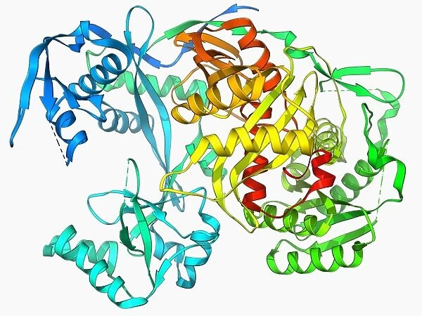Argonaute protein molecule F006  /  9526