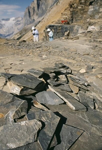 Burgess Shale fossil quarry