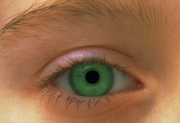Close-up image of a young girls green eye