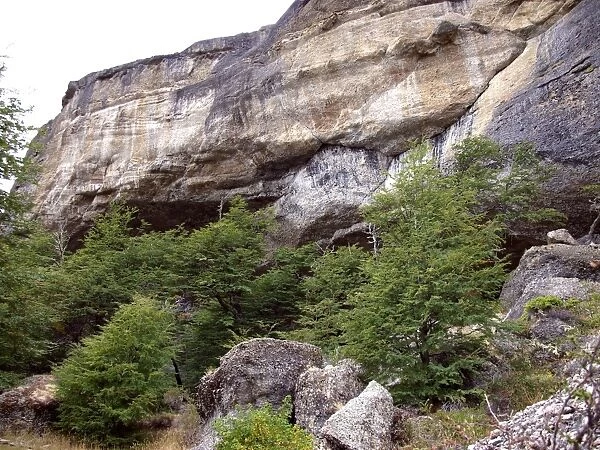 Cueva del Milodon, Chile C014  /  1003