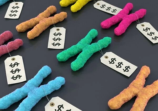 Designer chromosomes, conceptual artwork