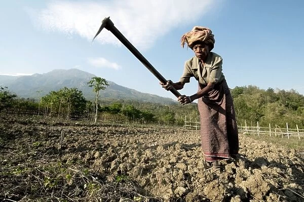Elderly female farmer, Timor-Leste