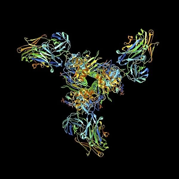 Haemagglutinin viral surface protein F007  /  9931