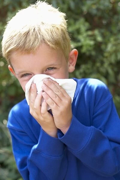 Hayfever. MODEL RELEASED. Hayfever. Boy blowing his nose. He is six years old