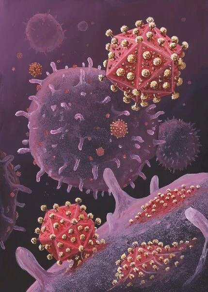 HIV particles exiting a cell, artwork
