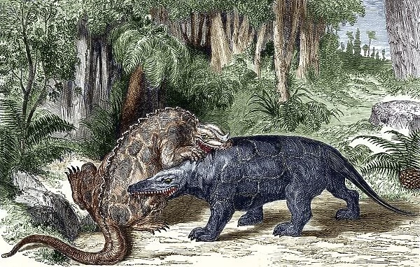 Iguanodon and Megalosaurus dinosaurs
