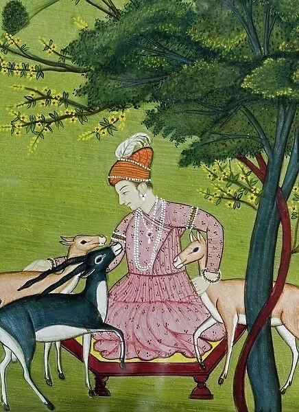 Indian miniature, animal kindness ahimsa