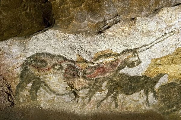 Lascaux II cave painting replica C013  /  7375