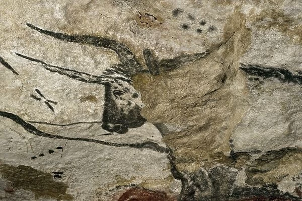 Lascaux II cave painting replica C013  /  7379