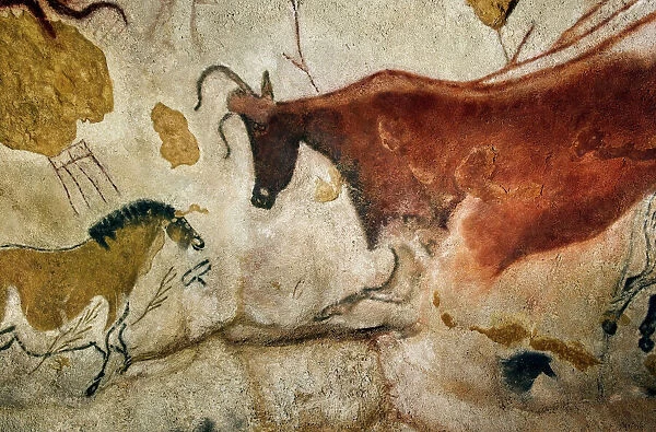 Lascaux II cave painting replica C013  /  7382