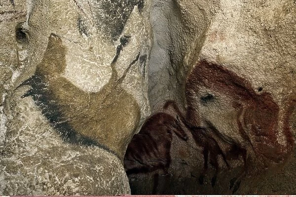 Lascaux II cave painting replica C013  /  7385