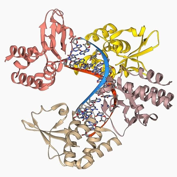 Marburg viral protein 35 and RNA F006  /  9759