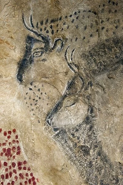 Marsoulas cave painting replica C013  /  7412