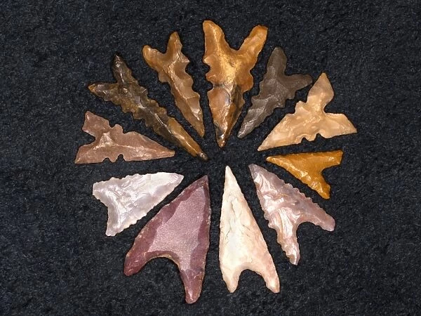 Neolithic flint arrowheads C014  /  1030