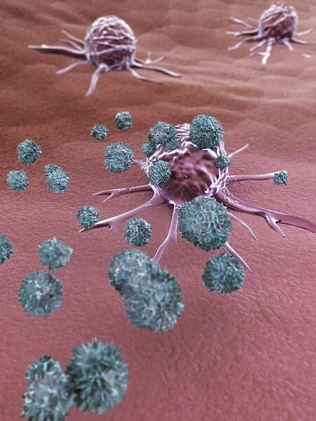 NK cells attacking cancer cells, artwork