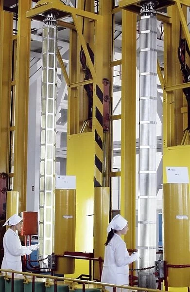 Nuclear fuel assembly, Russia