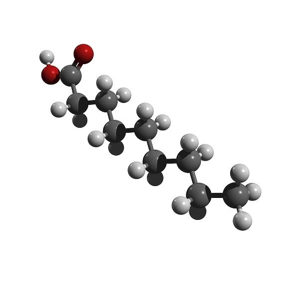 Pelargonic acid molecule