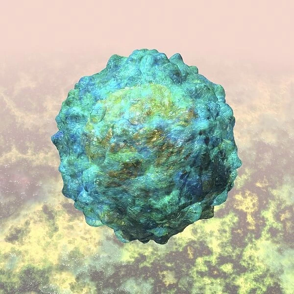 Polio virus particle, artwork C016  /  9606