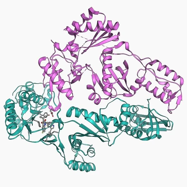 Reverse transcriptase and inhibitor F006  /  9519
