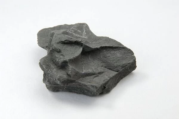 Sample of shale