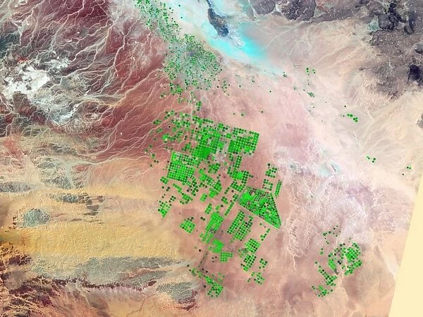 Saudi Arabia agriculture, 2000