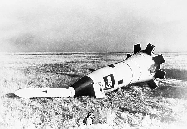 Space capsule after landing with dog