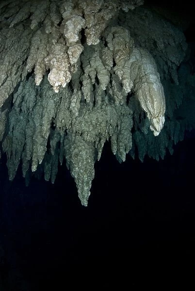 Underwater limestone cave formations
