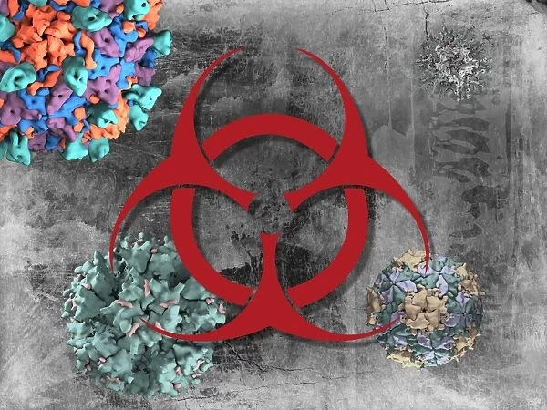 Viral pathogens, conceptual artwork