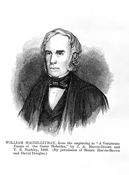 William MacGillivray, Scottish naturalist C016  /  5642