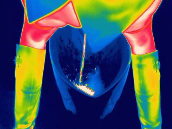 Woman using a urinal, thermogram C016  /  7559