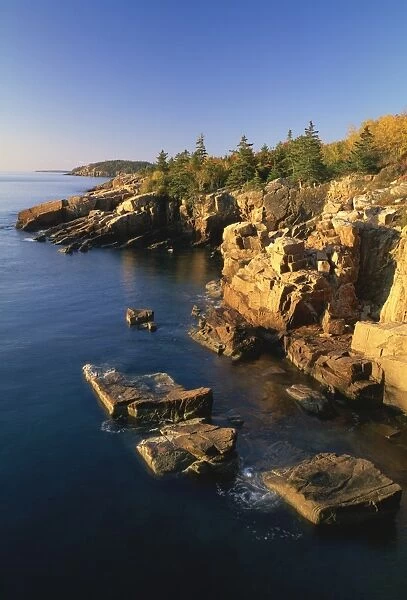 485-2550. Rocks along the coastline in the Acadia National Park