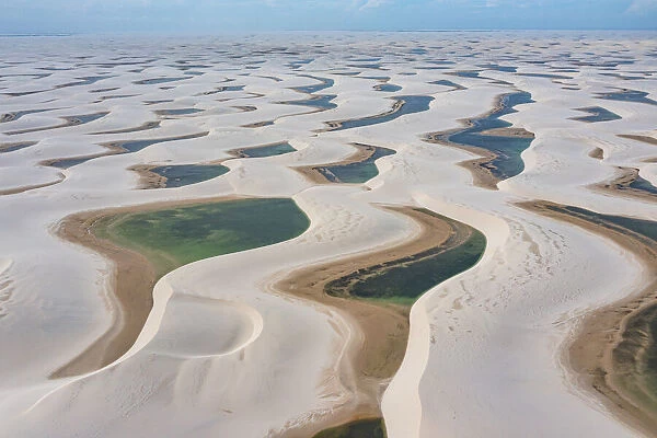 Aerial of freshwater lakes between huge sand dunes in the Lencois Maranhenses National Park, Maranhao, Brazil, South America