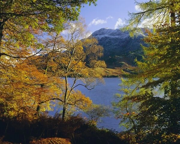 Autumn trees at Ullswater, Lake District National Park, Cumbria, England, UK, Europe