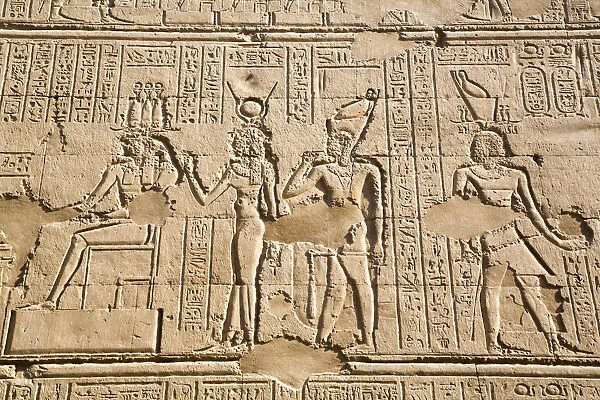 Bas Relief, External Wall, Temple of Khnum, Esna, Egypt, North Africa, Africa