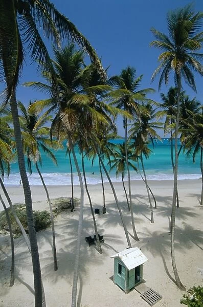 Bottom Bay Beach, east coast, Barbados, Windward Islands, West Indies, Caribbean