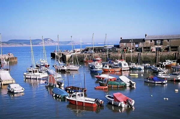 Boats in harbour, Lyme Regis, Dorset, England, United Kingdom, Europe