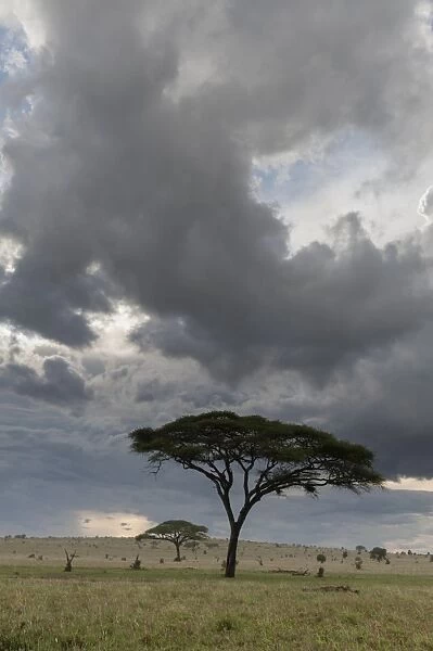 A cloudy sky over the plains of Tsavo, Kenya, East Africa, Africa