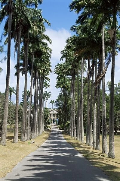 Codrington College, Barbados, West Indies, Caribbean, Central America