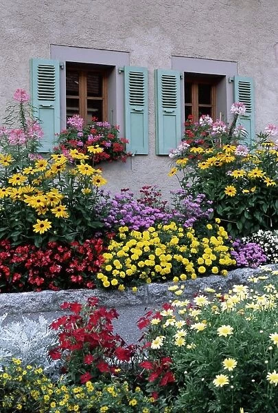 Colourful garden flowers and green shutters, Servoz, near Chamonix, Haute-Savoie
