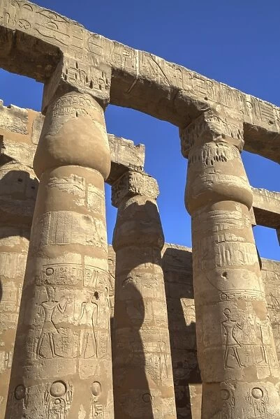 Columns in the Court of Ramses II, Luxor Temple, Luxor, Thebes, UNESCO World Heritage Site