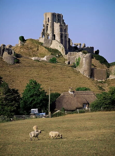 Corfe Castle, Dorset, England, United Kingdom, Europe