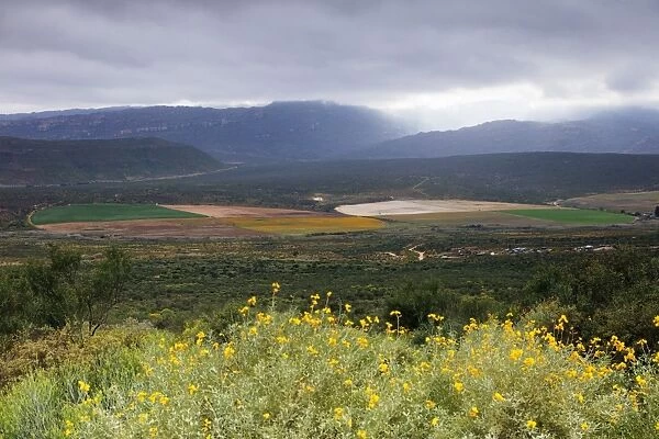 Crop circles, Cederberg Wilderness Area, Western Cape, South Africa, Africa