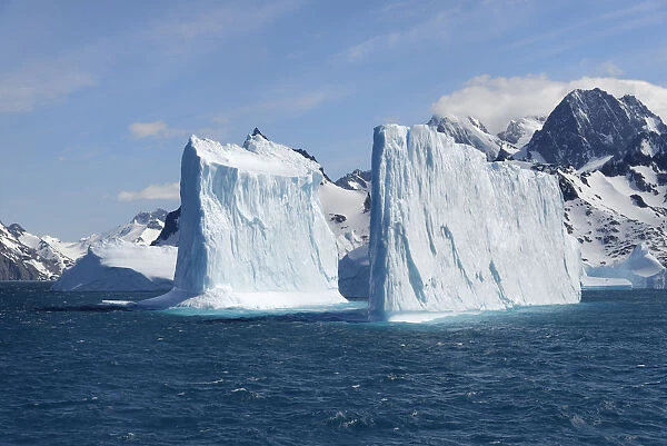 Drygalski Fjord, Floating Icebergs, South Georgia, South Georgia and the Sandwich Islands