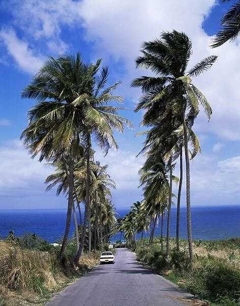 East coast near Bathsheba, Barbados, West Indies, Caribbean, Central America
