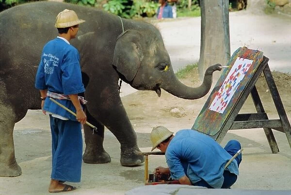 Elephant painting with his trunk