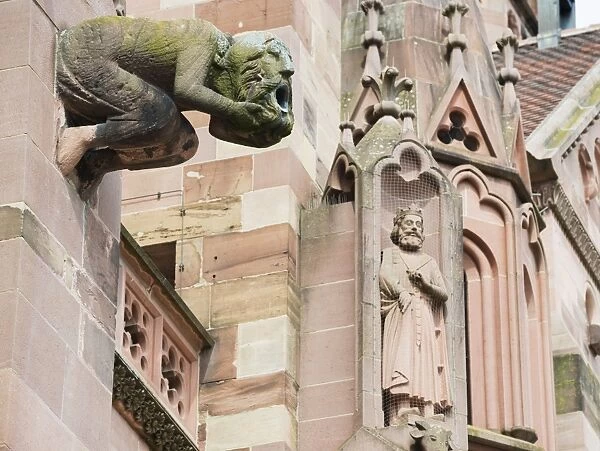 Gargoyles on Freiburg Cathedral, Freiburg, Baden-Wurttemberg, Germany, Europe, Europe