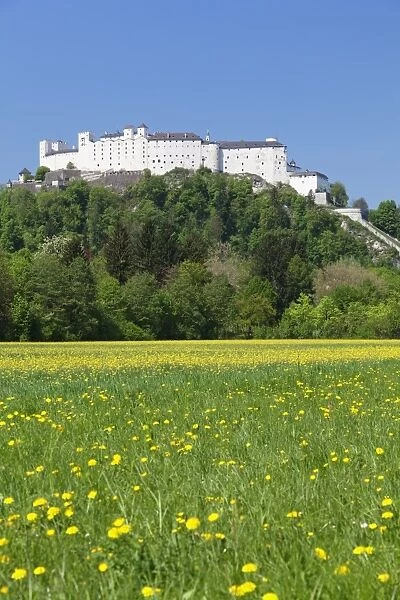 Hohensalzburg Fortress, Salzburg, Salzburger Land, Austria, Europe