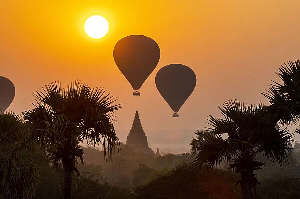 Hot air balloons over Bagan at sunrise, Bagan (Pagan), Myanmar (Burma), Asia
