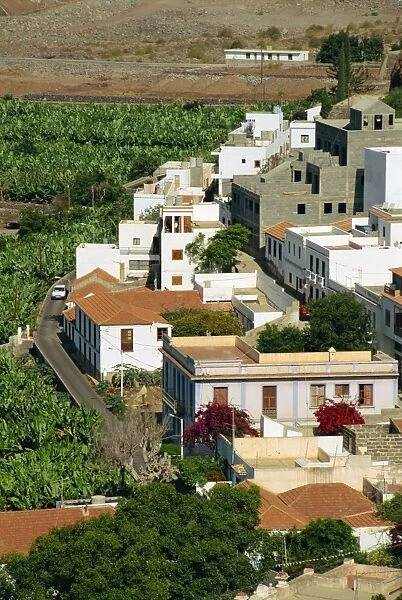 Houses beside banana plantations, Santiago, La Gomera, Canary Islands, Spain