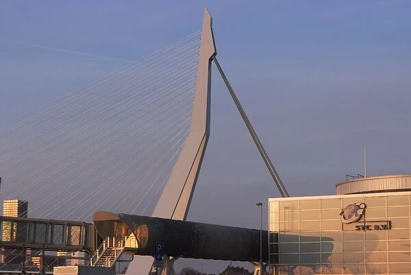 The iconic Erasmus Bridge, one of the citys landmarks, over the Ms River, Rotterdam, Netherlands, Europe